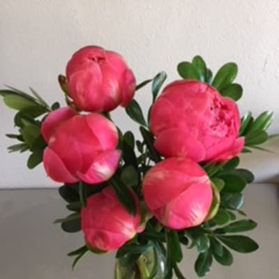 Pink peonies arranged in a clear glass vase