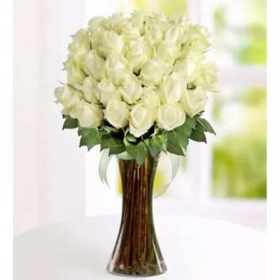 Joy of roses