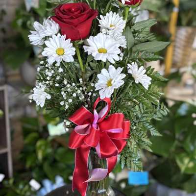 Daisies /Roses