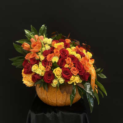 Autumn Pumpkin