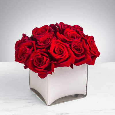 Radiant in Red by BloomNation™