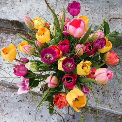 Tulips!!