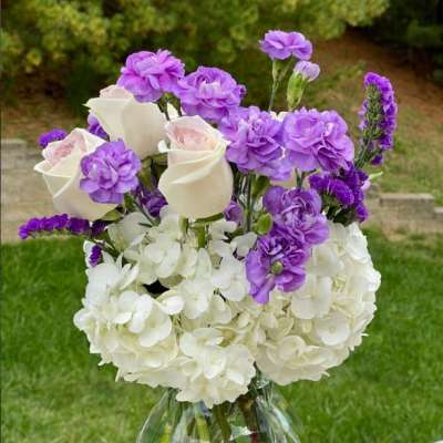 Lavender Elegance