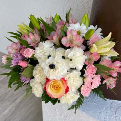 Beautiful puppy