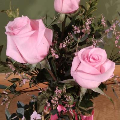 Pink Sweetness