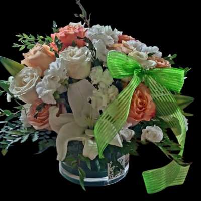 Peach Roses