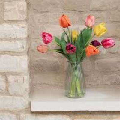 Springtime Tulips