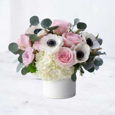 Anemone Alchemy