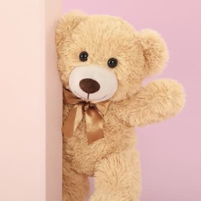 Teddy Bear