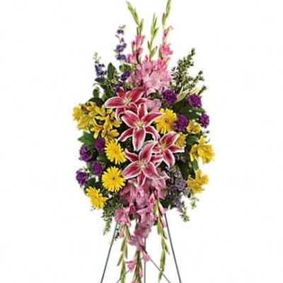 Rainbow Of Remembrance Spray