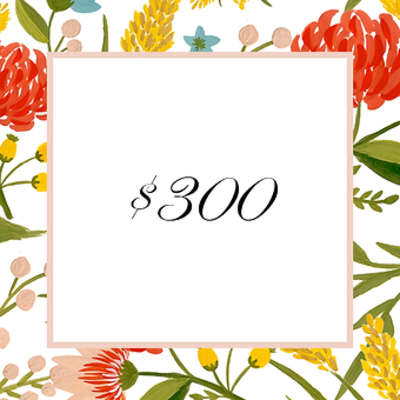 $300 Deposit