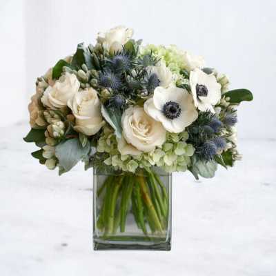 Flourish & Frond