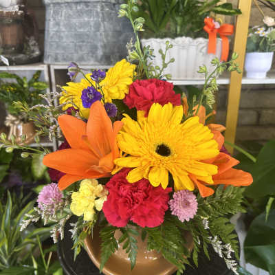 Cow Boy Floral