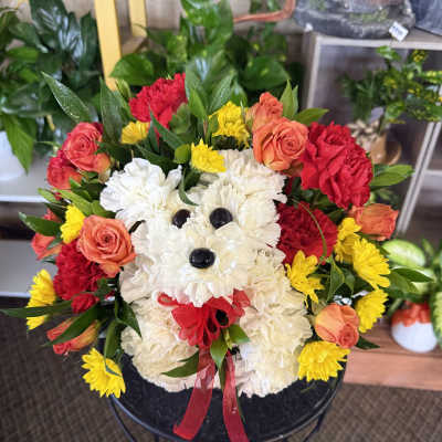 Floral Dog