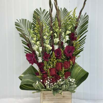 gladiolas