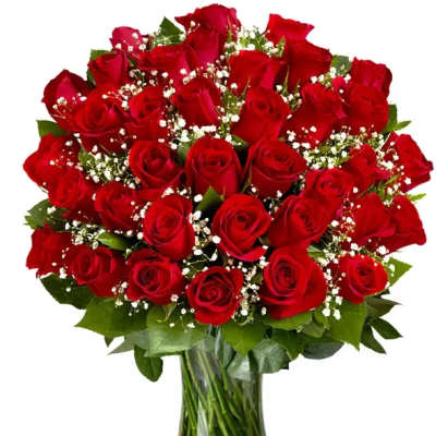 Three Dozen Red Roses