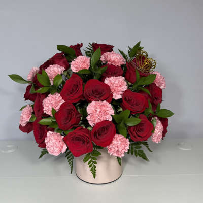 Rosa