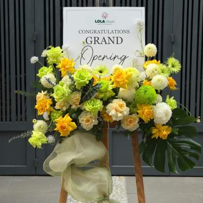 Grand Opening