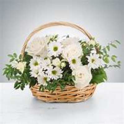 Pristine by BloomNation™