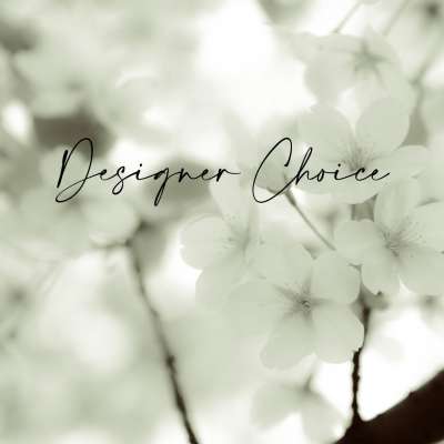 Designer Choice Sympathy Arrangement