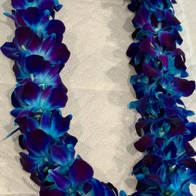 Blue Orchid Lei