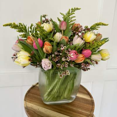 TT's Tulips