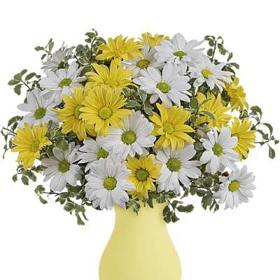 Yellow and white daisy arrangement in a soft yellow vase