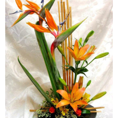 Birds and Lilies