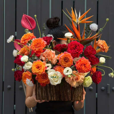 Fall Bloom