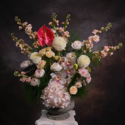 The Rose Bloom
