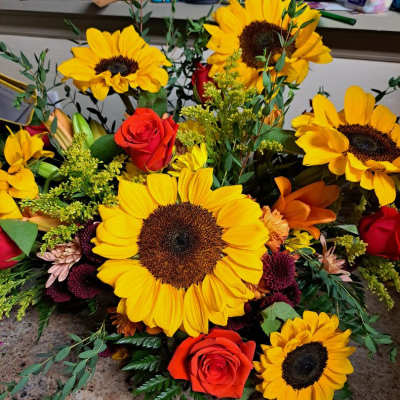 sunflower sympathy