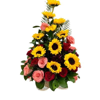 Girasoles Frontal