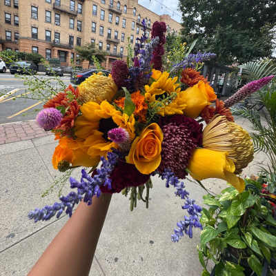 Fall Blooms.