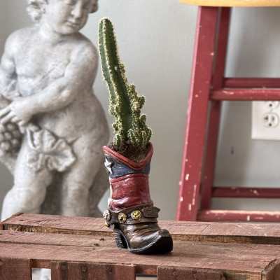 country succulent