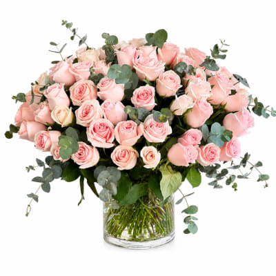 The Grand Blush Roses
