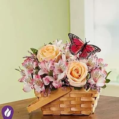Bountiful Basket