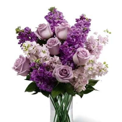 Lavender Whisper