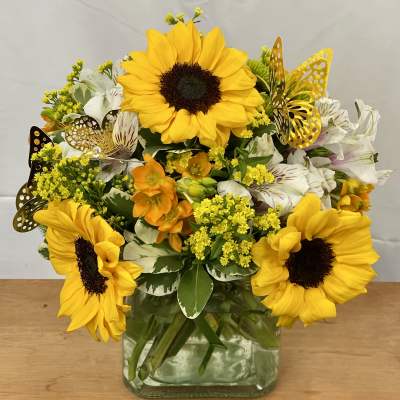Sunflower Cube