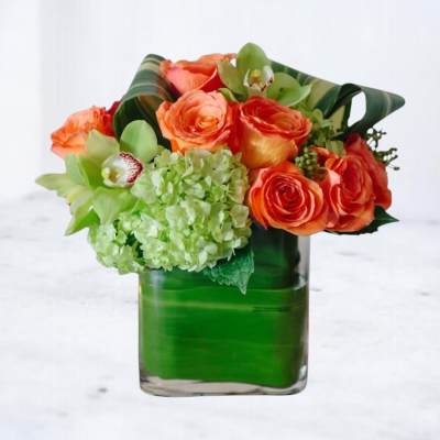 Citrus Radiance