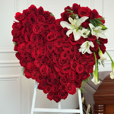 Red Rose Heart ️