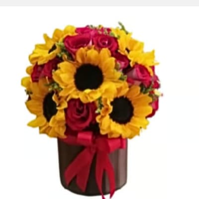 Gorgeous Sunflower