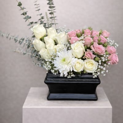 Blush Ivory