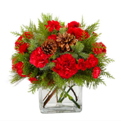 Red carnations and pinecones in a clear glass vase