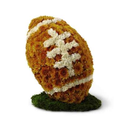 The FTD American Football Tribute