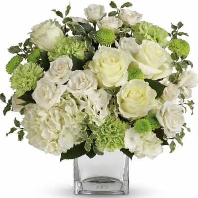 White roses and green carnations in a clear glass vase