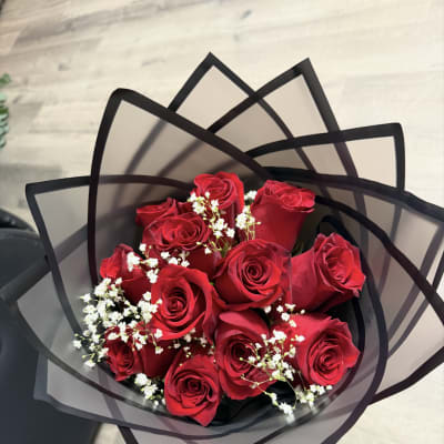 Elegancia Roja