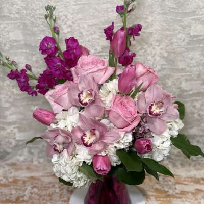 Lovely Orchid