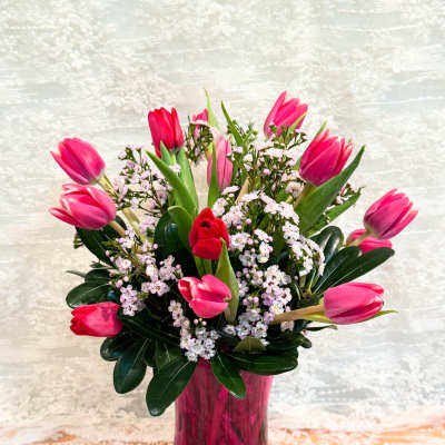 Spring Tulips