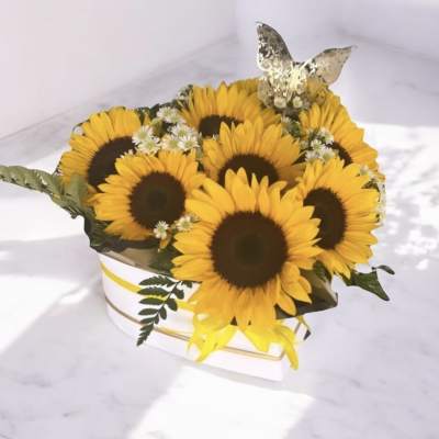 Sunflower Heaven