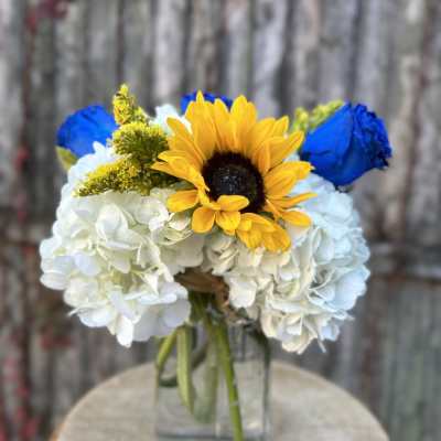 Blue pardise